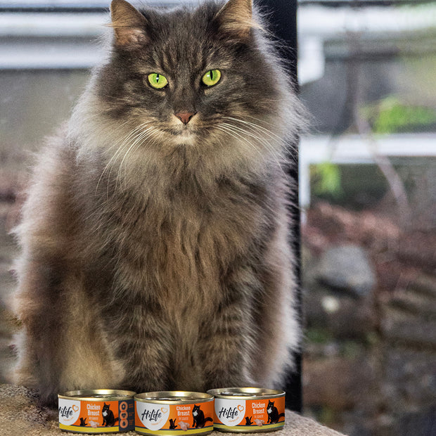 HiLife Adult Cat Chicken Breast in Sauce