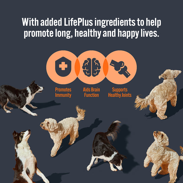 HiLife Adult Dog Chicken Recipes Selection