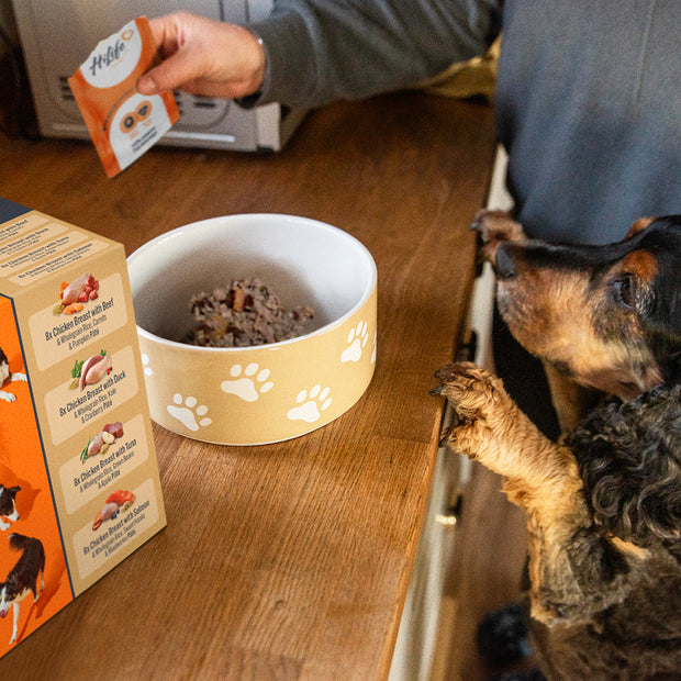 HiLife Adult Dog Chicken Recipes Selection
