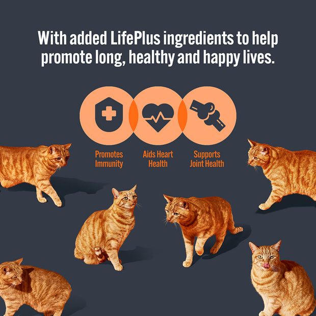 HiLife Mature Cat Chicken & Tuna