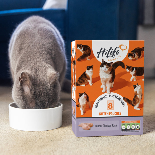 HiLife Kitten Tender Chicken