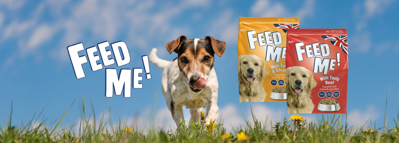 Dry Dog Food