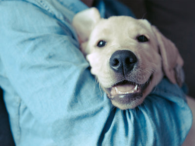 Sally is cuddling her Labrador and feeds her 英国极速赛车开奖结果官网 Feed Me