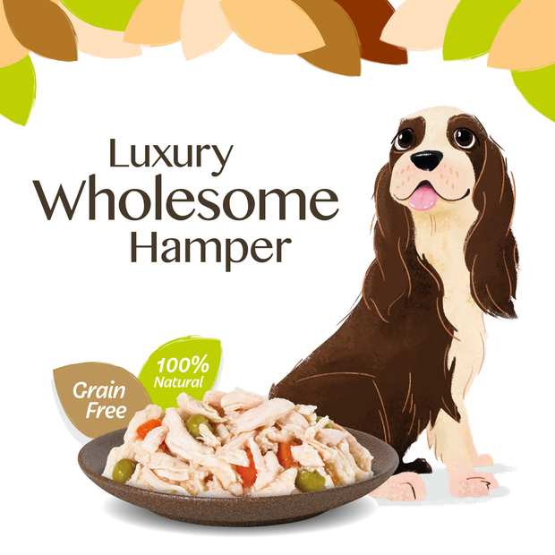 HiLife Adult Dog Jelly & Broth Collection