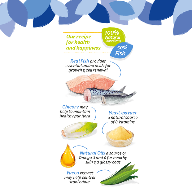 HiLife its only natural the fishy one pouch catfood artist ingredients