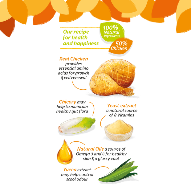 HiLife Mature Cat Chicken Pate